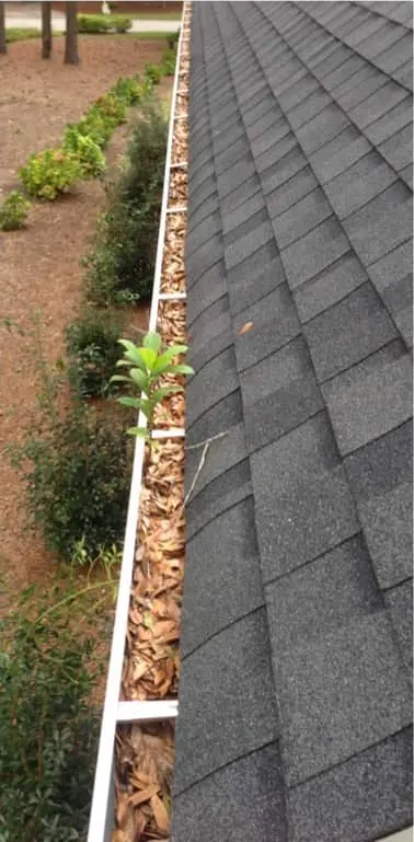 Before Gutter Cleaning